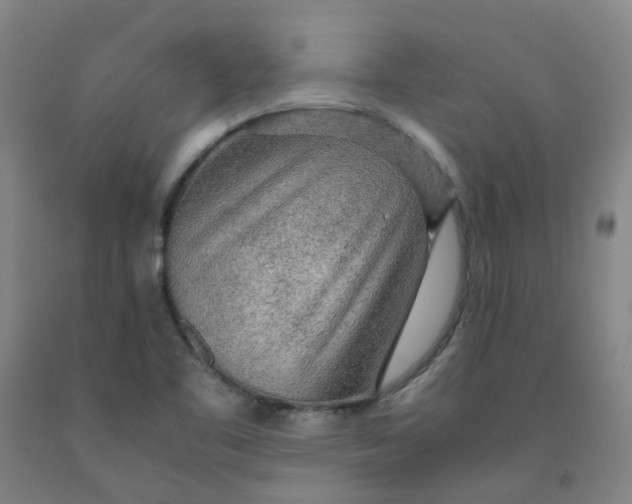 X0000091981461200709271417