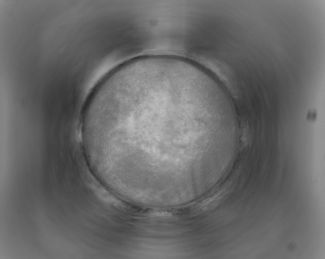 X0000091981462200709271417