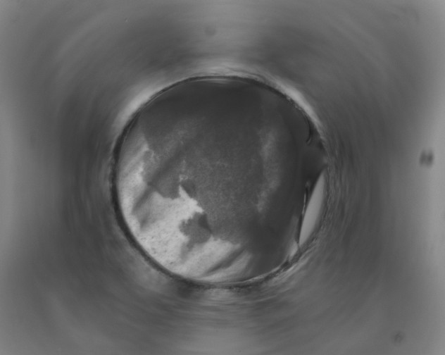 X0000091981463200709271417