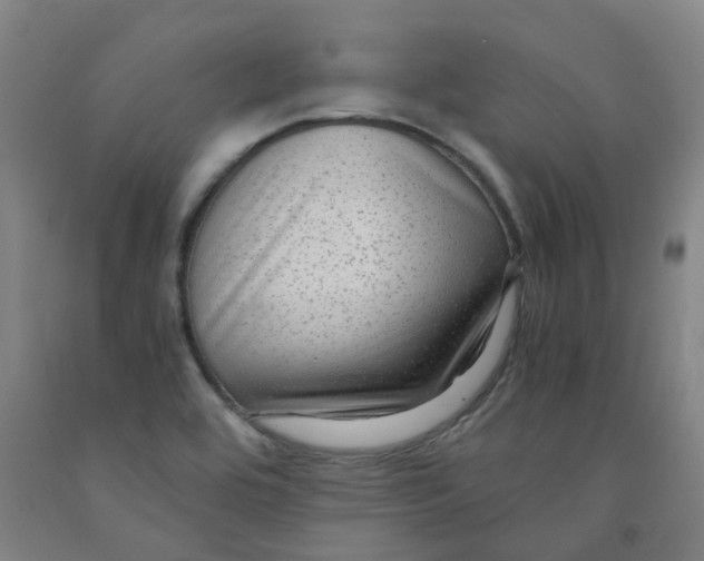 X0000091981464200709271417