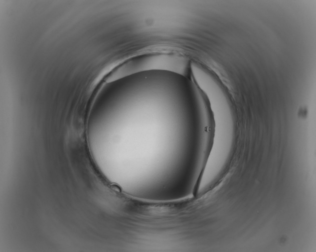 X0000091981465200709271417