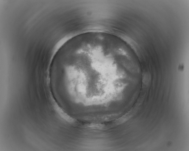 X0000091981466200709271417