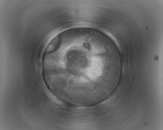 X0000091981467200709271417