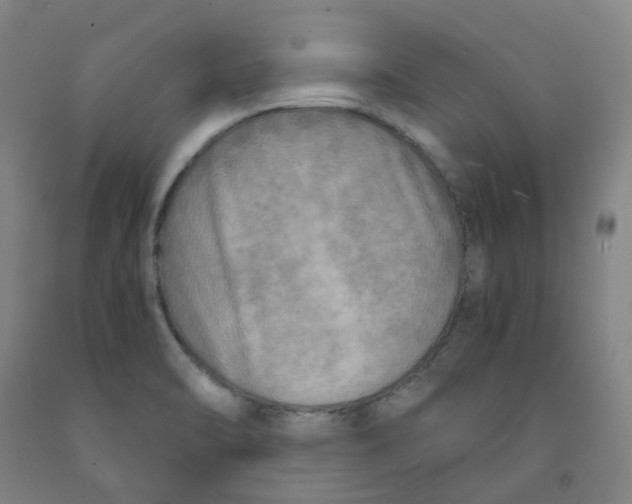 X0000091981470200709271417