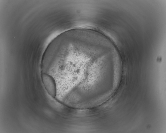 X0000091981471200709271417