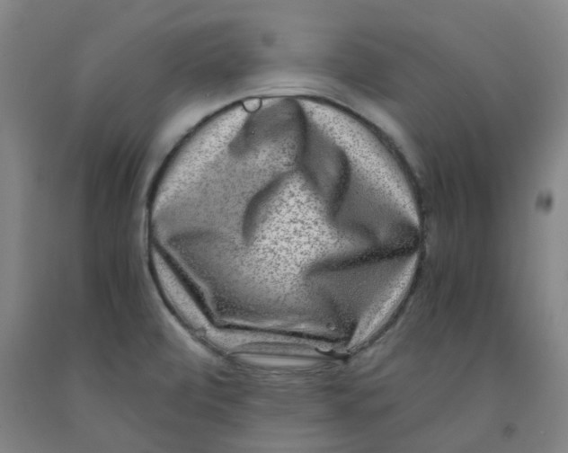 X0000091981472200709271417