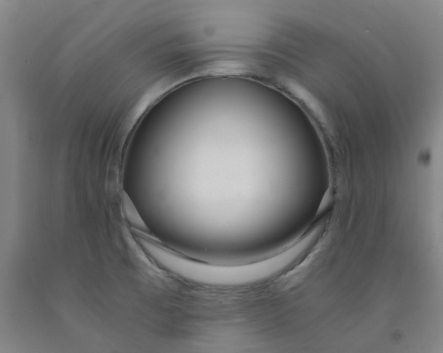 X0000091981473200709271417