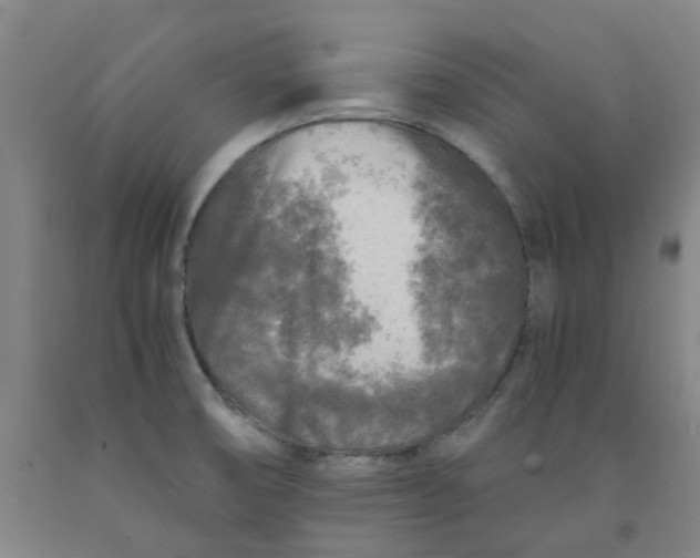 X0000091981474200709271417