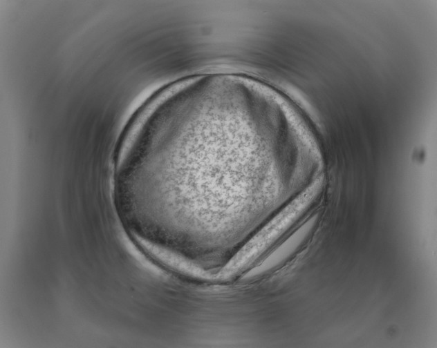 X0000091981476200709271417