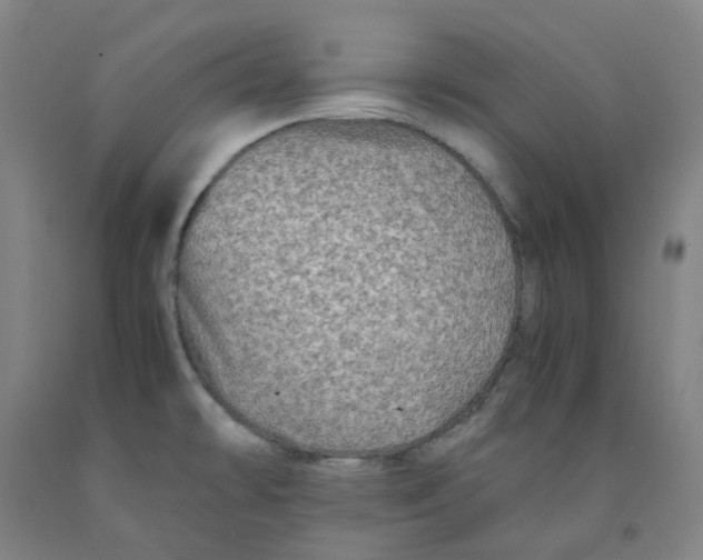 X0000091981478200709271417