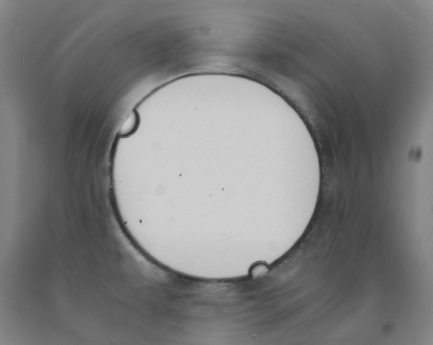 X0000091981479200709271417