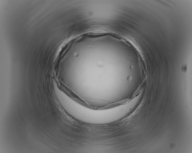 X0000091981481200709271417