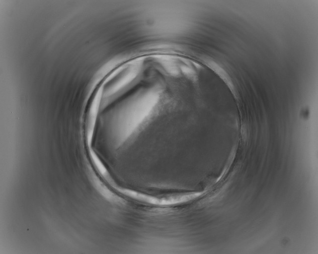 X0000091981482200709271417