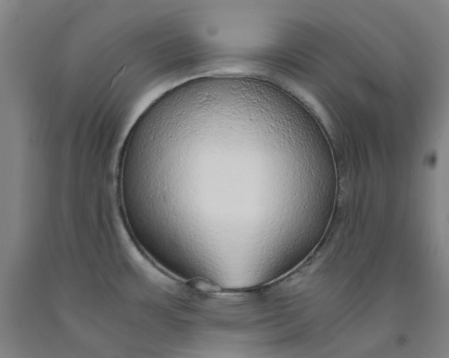 X0000091981483200709271417