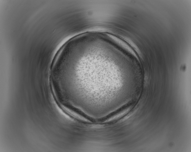 X0000091981484200709271417