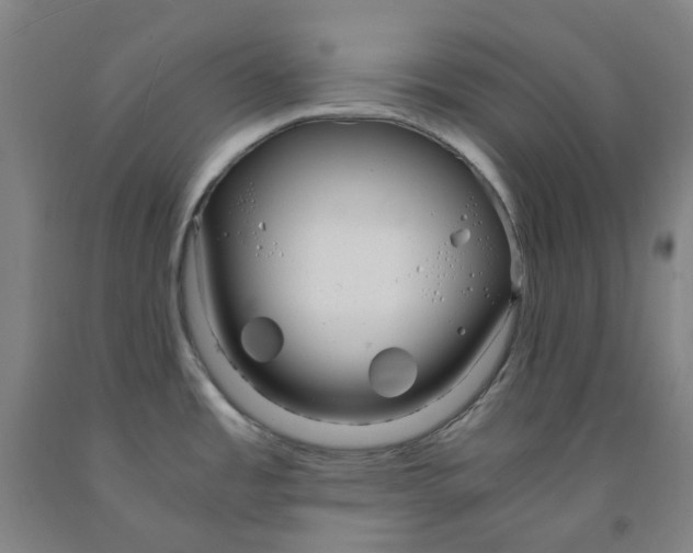 X0000091981485200709271417