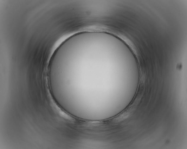 X0000091981486200709271417