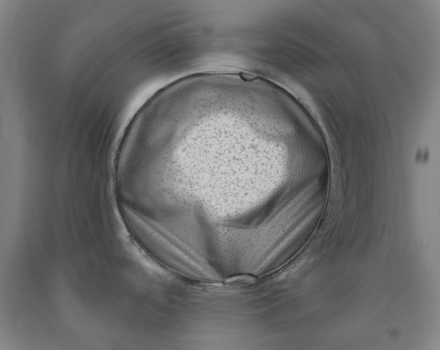 X0000091981488200709271417