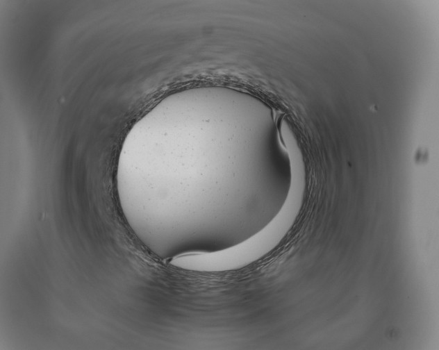 X0000091981489200709271416