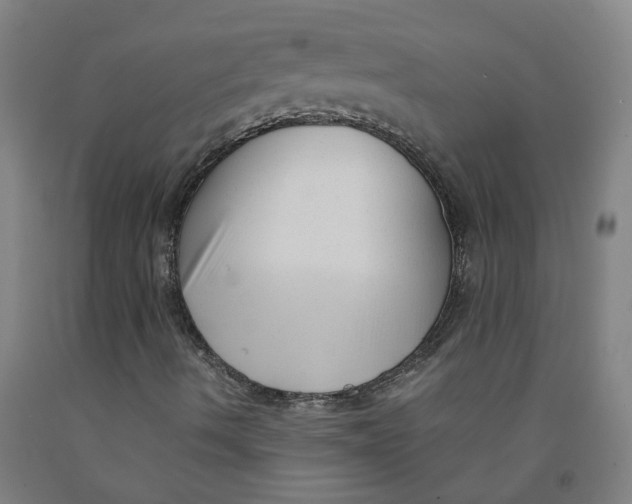 X0000091981490200709271416