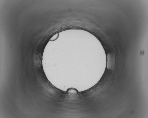 X0000091981491200709271416