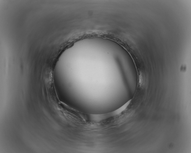 X0000091981492200709271416