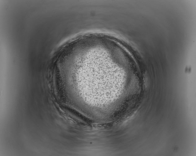 X0000091981494200709271416