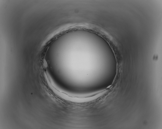 X0000091981496200709271416