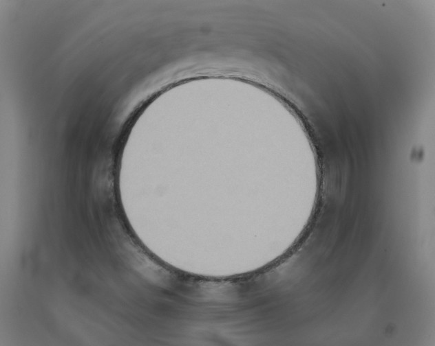 X0000091981498200709271416