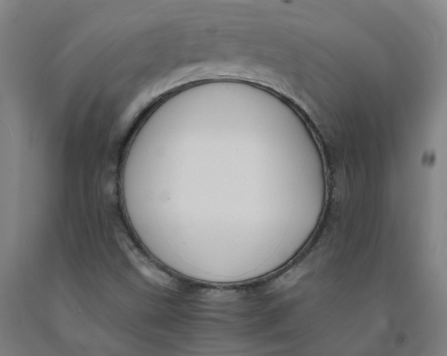 X0000091981499200709271416