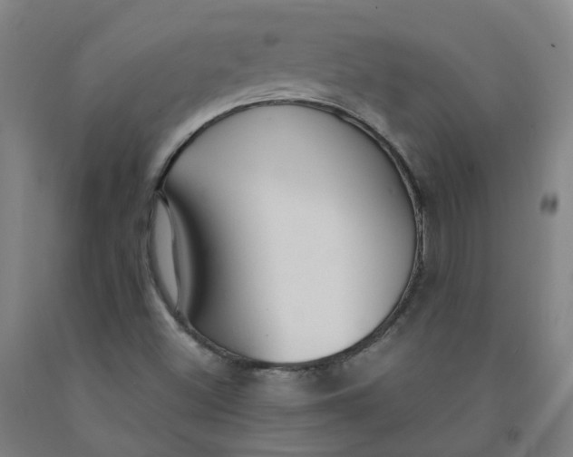 X0000091981500200709271416