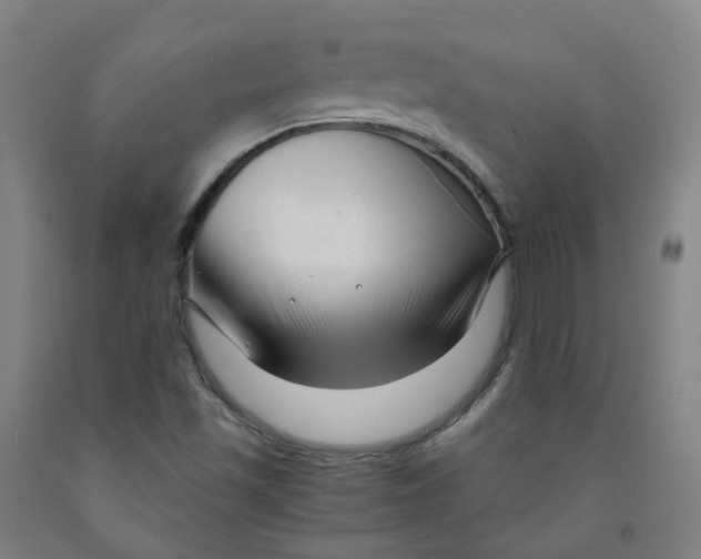 X0000091981501200709271416