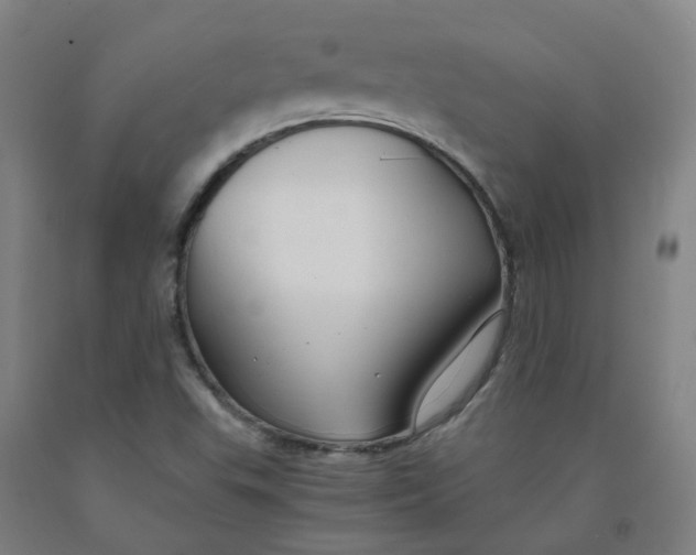 X0000091981503200709271416