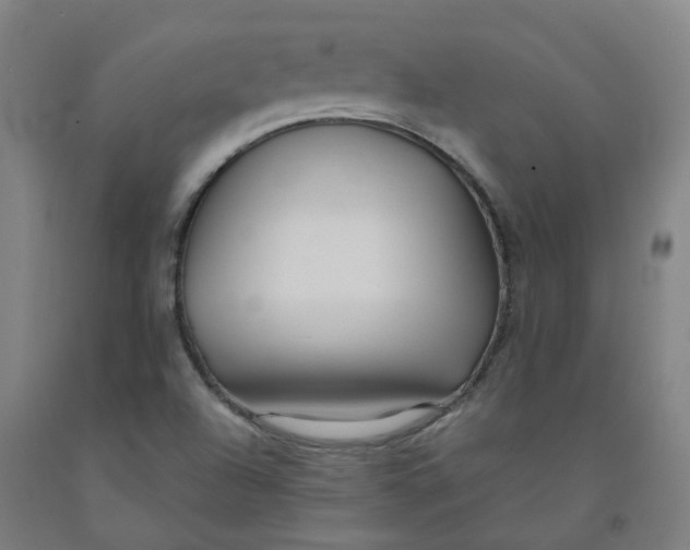 X0000091981504200709271416