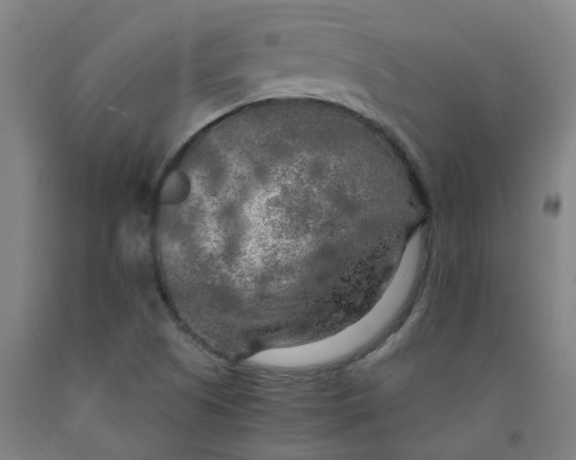 X0000091981505200709271416