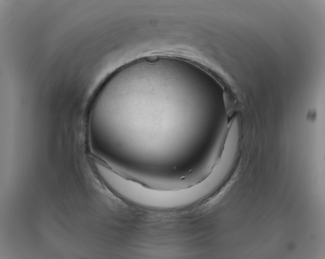 X0000091981506200709271416