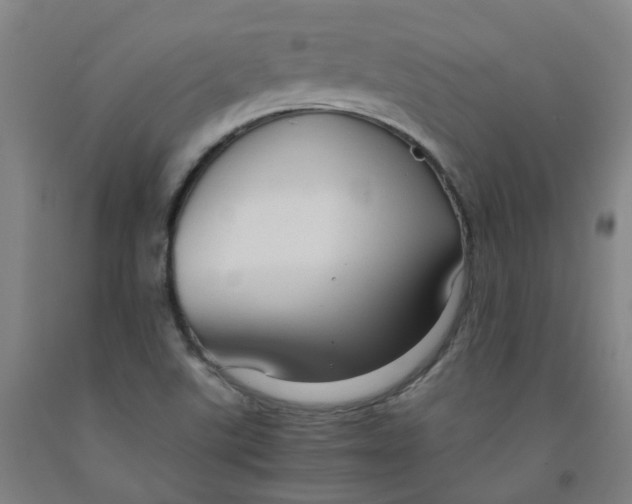 X0000091981507200709271416