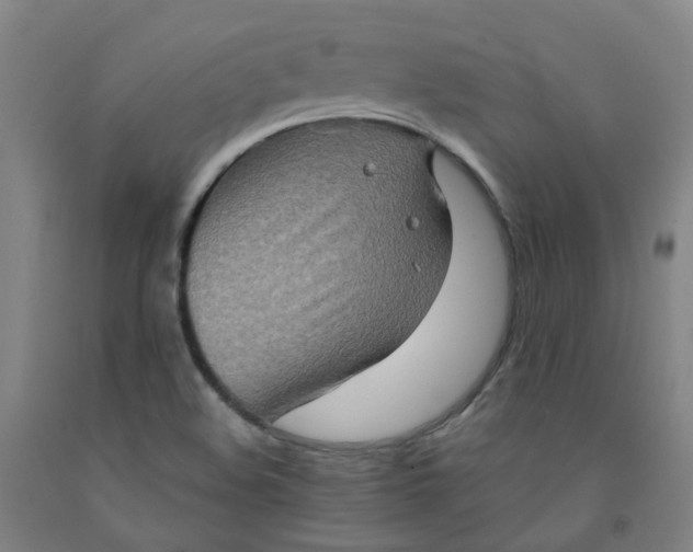 X0000091981508200709271416