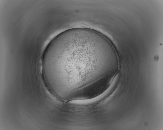 X0000091981509200709271416