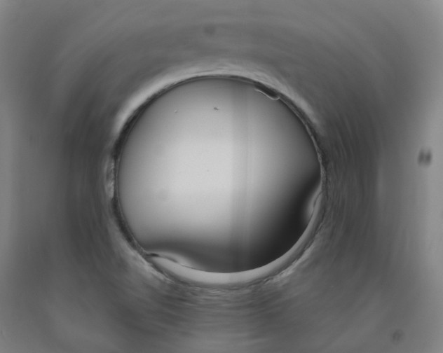 X0000091981510200709271416