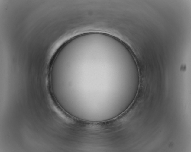 X0000091981511200709271416