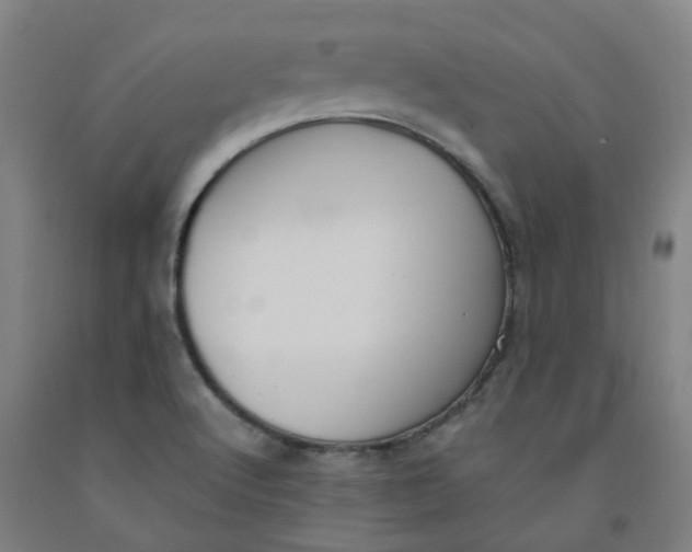 X0000091981512200709271416