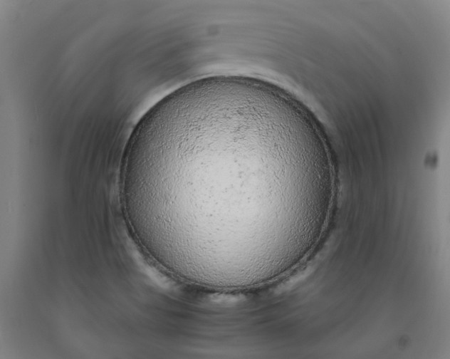 X0000091981513200709271416