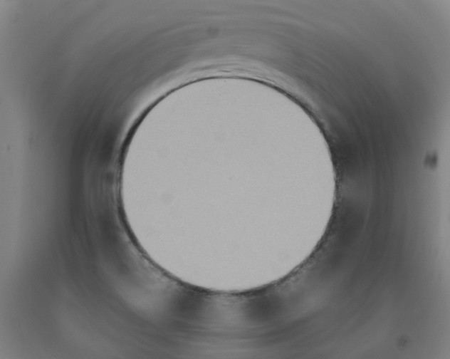 X0000091981514200709271416