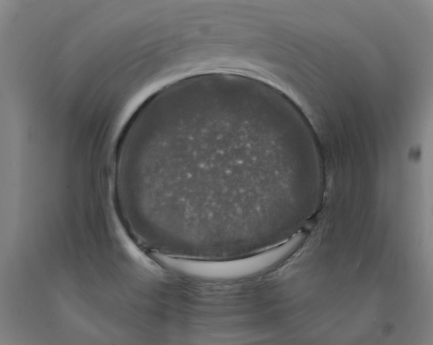 X0000091981515200709271416