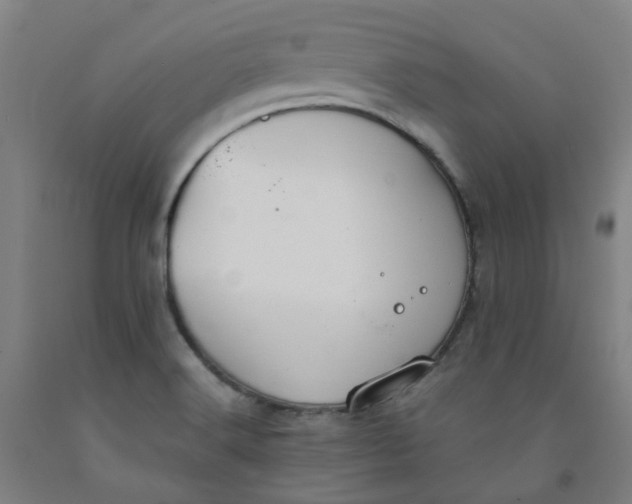 X0000091981516200709271417