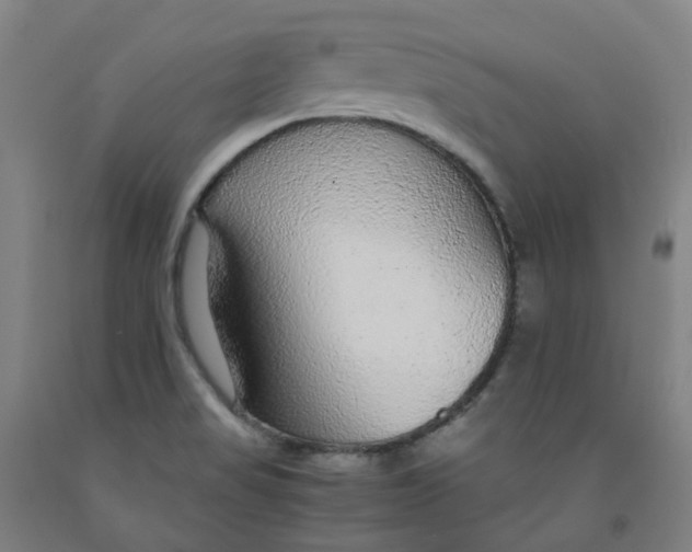 X0000091981517200709271417