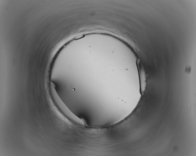 X0000091981518200709271417