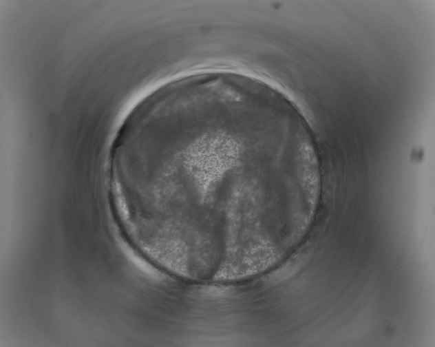 X0000091981519200709271417