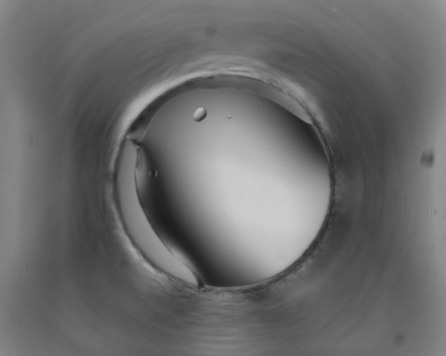 X0000091981520200709271417